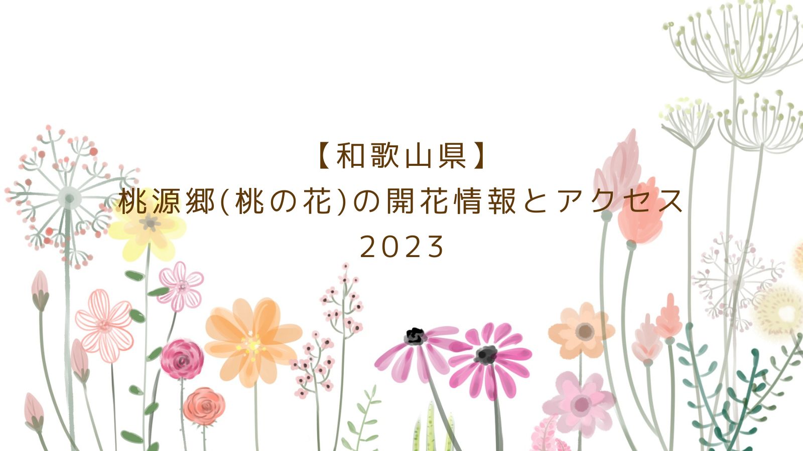 和歌山県の桃源郷(桃の花)の開花情報とアクセス2023