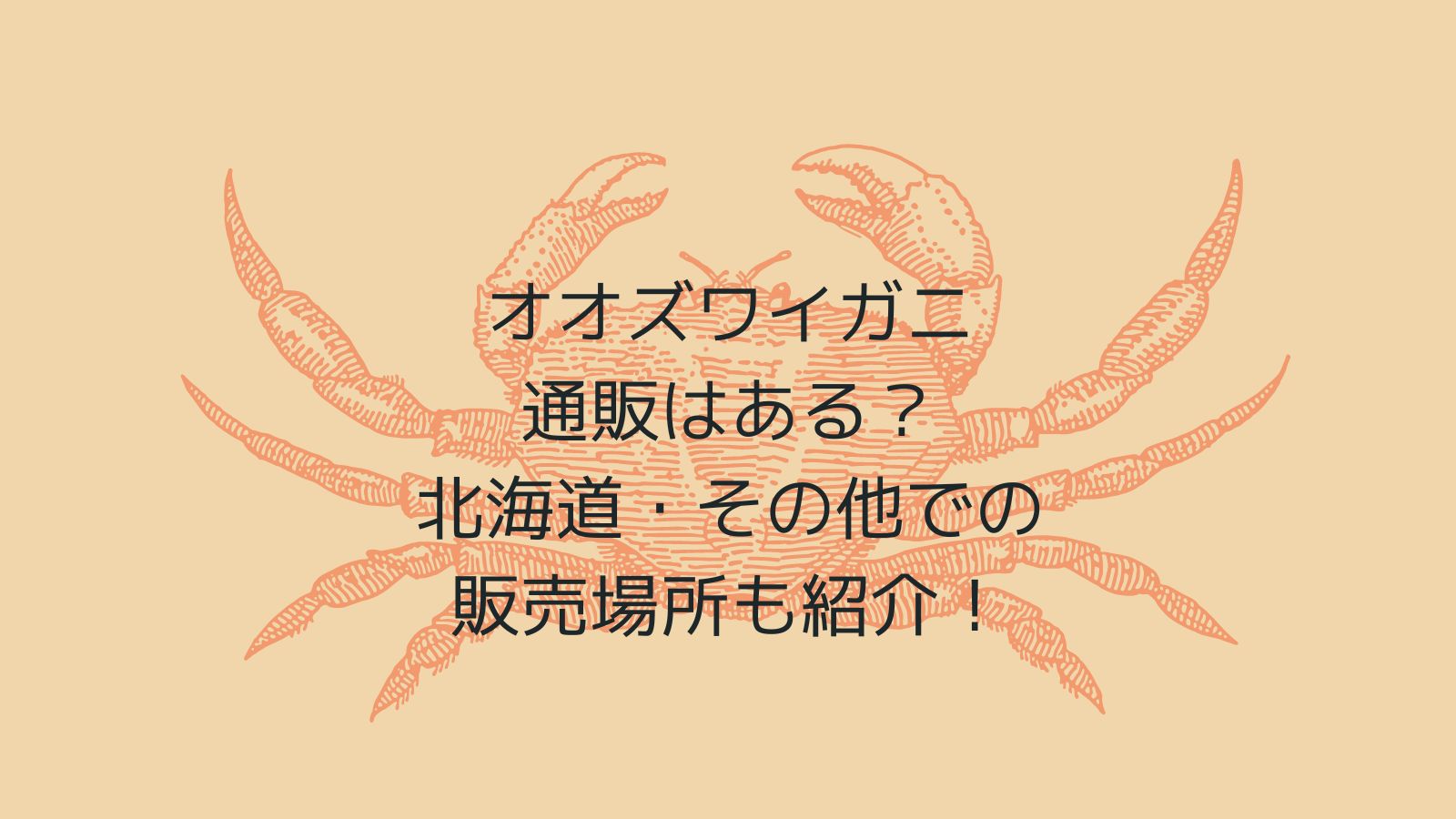 函館産 ズワイガニ 7尾