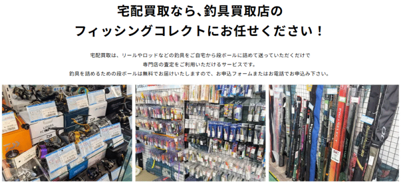 フィッシングコレクトおすすめな人