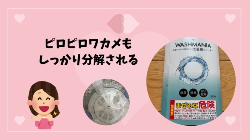 ピロピロワカメもしっかり分解される