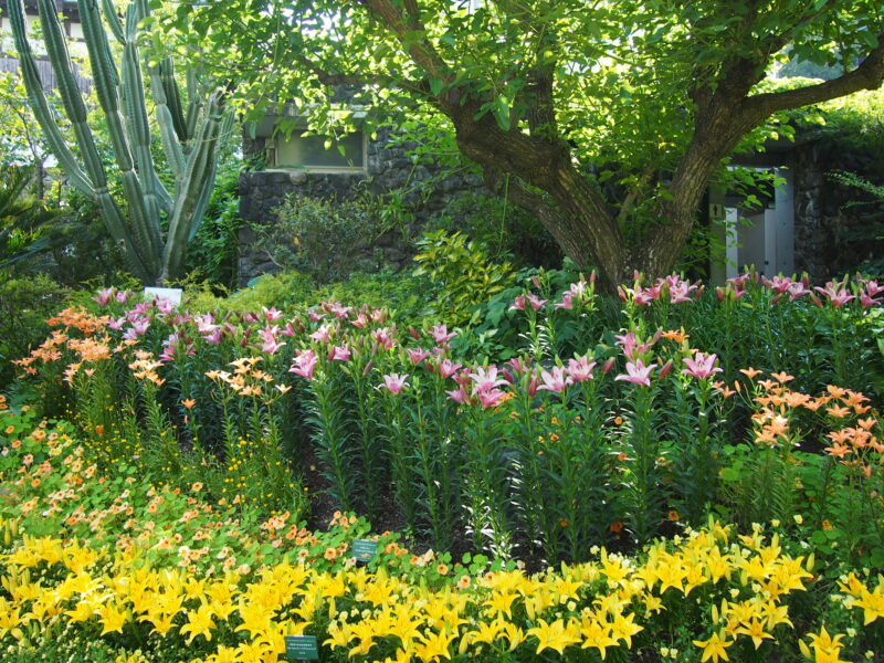 おだやかなアトリエ